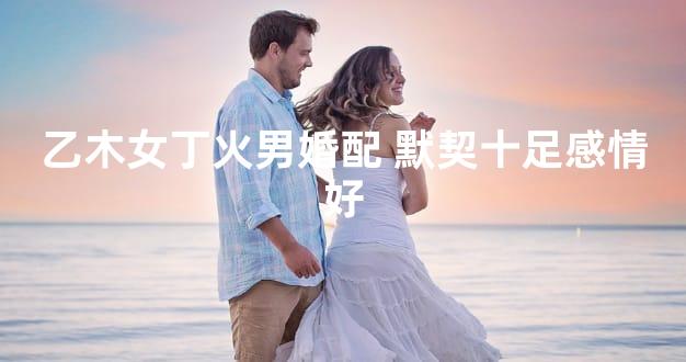 乙木女丁火男婚配 默契十足感情好
